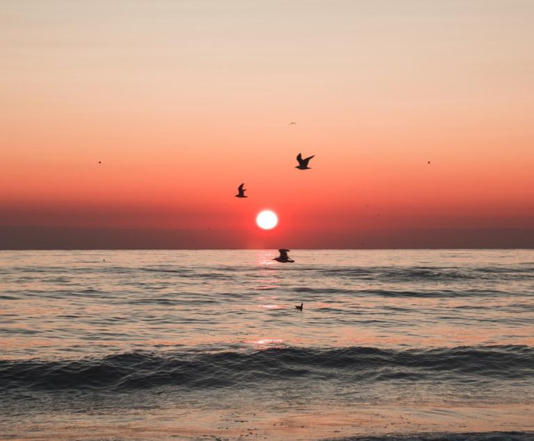 Time of the Day Series: Evening