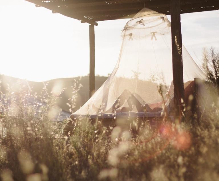 Time of the Day Series: Afternoon