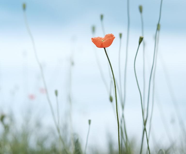 Staying hopeful in the world today