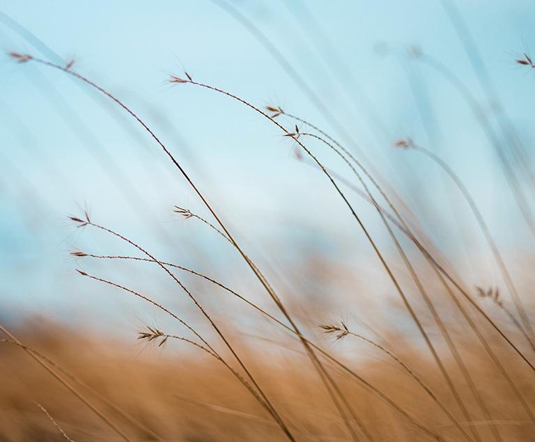5 Tips To Better Mental Health