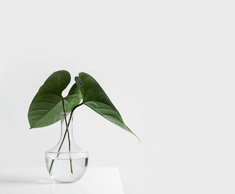 Drawing the Focus Back to Yourself