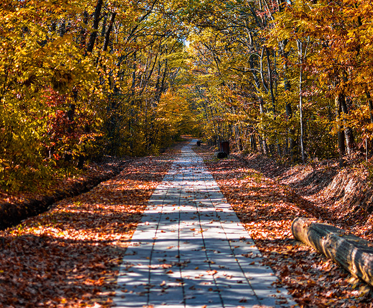 Tapping Into Stories – Alice in Wonderland