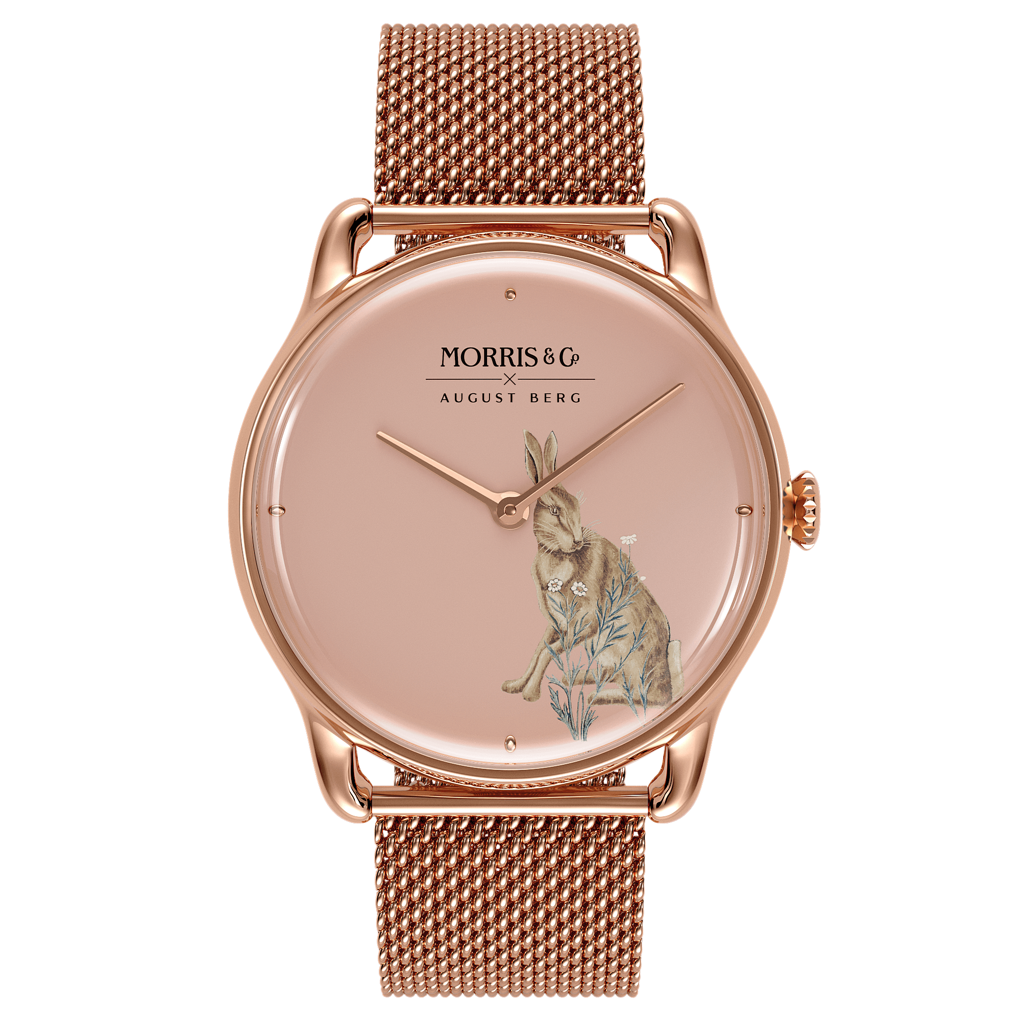 Forest Hare Primrose